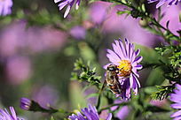 ���۵��۷�