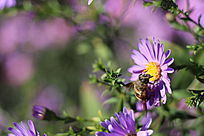 ���۵��۷�