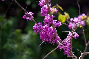 ������Ͼ���