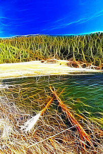 ���Ի���ɭ�ֺ���