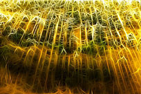 ���Ի���ɭ�����١�