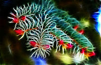 ���Ի�����֦�����