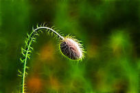 ���Ի���Ұ��ڻ��١�