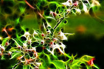 ���Ի���֦Ҷ���䡷