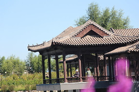 ������֮ͤ��