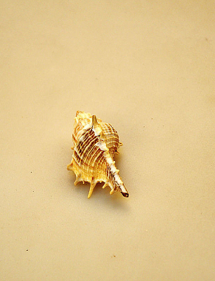 ����װ����