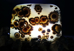 �ջ�ͼ��Ȼ��������