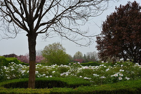 �ջ���ĵ��