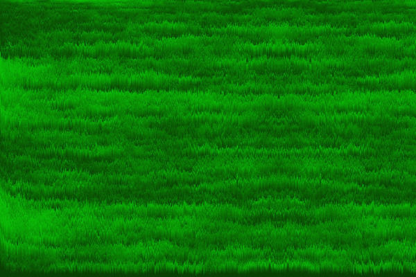 ��ɫ�ݵ�����