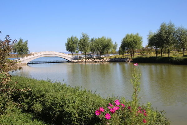 ��԰С��С��