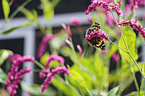 ��Ϣ�ڻ��ϵĺ���