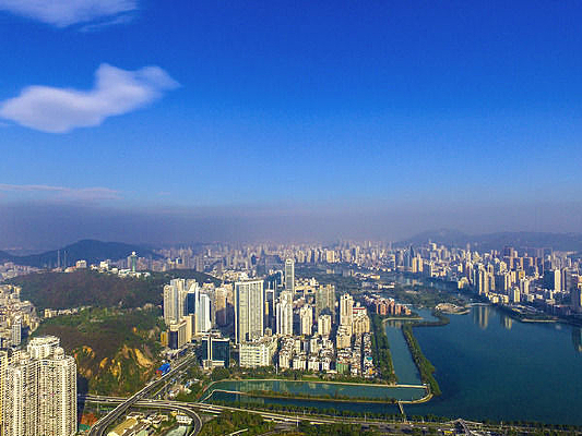 �����¿���