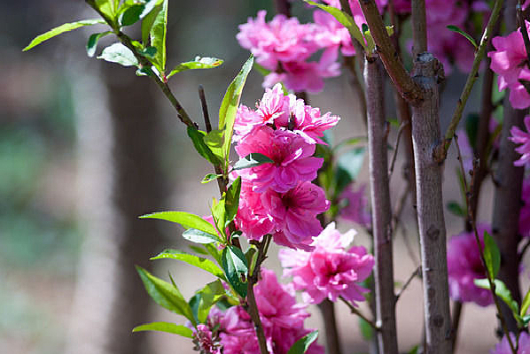 �����һ�