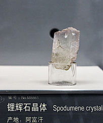 ������﮻�ʯ����