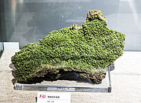 ����ͭ����Ȼͭ