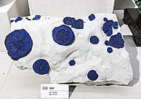 �Ĵ�������ͭ��