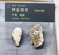 �¹�����þ��