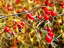 ���Ի�����õ����