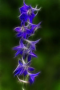 ���Ի�������ݡ�