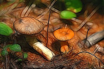 ���Ի���Ģ����