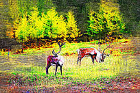 ���Ի�������¹Ӱ��