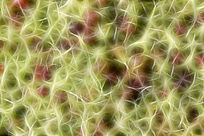 ���Ի���������