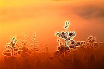 ���Ի�������ɭ�֡�