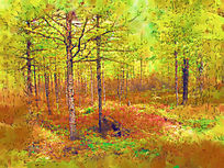 ����ˮ�ʻ���������ɫ��