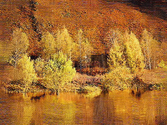 �����ͻ����������֡�