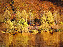 �����ͻ����������֡�