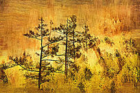 �����ͻ���ɭ�ֳ�����