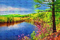 �����ͻ���ɭ�ֺ�֮����