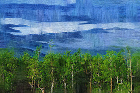 �����ͻ���ɭ��������