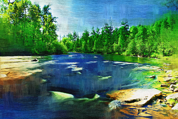 �����ͻ���ɭ��֮�ӡ�