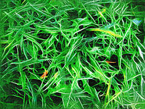 �����ͻ���ֲ��������