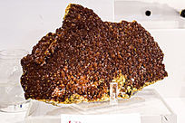 ����˹�ƻƾ���