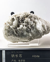 ����˹�Ƴ�ʯ