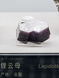 �������ĸ