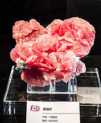 �����������̿�