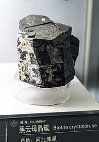 �ӱ�����ĸ����