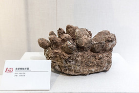 ���ϸ�������ε�