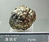 ��ɫ����