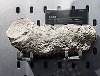 ���Ϲ���ɺ��