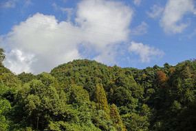 ���������ɽ��