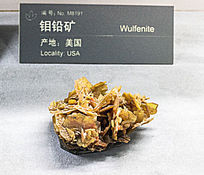 ��������Ǧ��