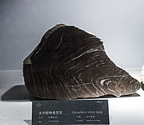 ������������ʯ