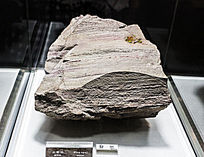 ī�����ŷ��