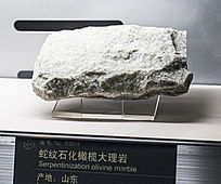 ɽʯ魴