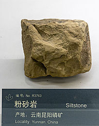 ���Ϸ�ɰ��