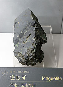 ���ϸ�����